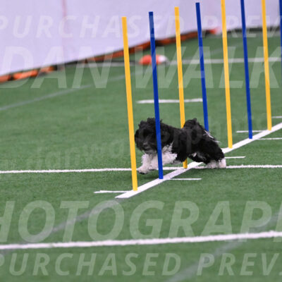 Henry-Ruth-Drew-02082