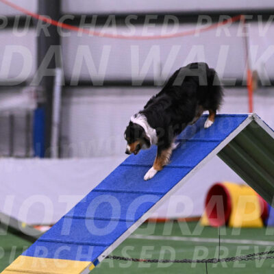 Holly-Cheryl-Jacobs-00560