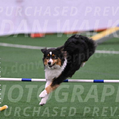 Holly-Cheryl-Jacobs-00571