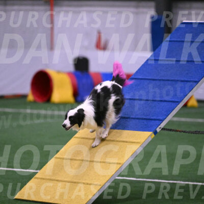 Hoopla-Tricia-Solinger-05842