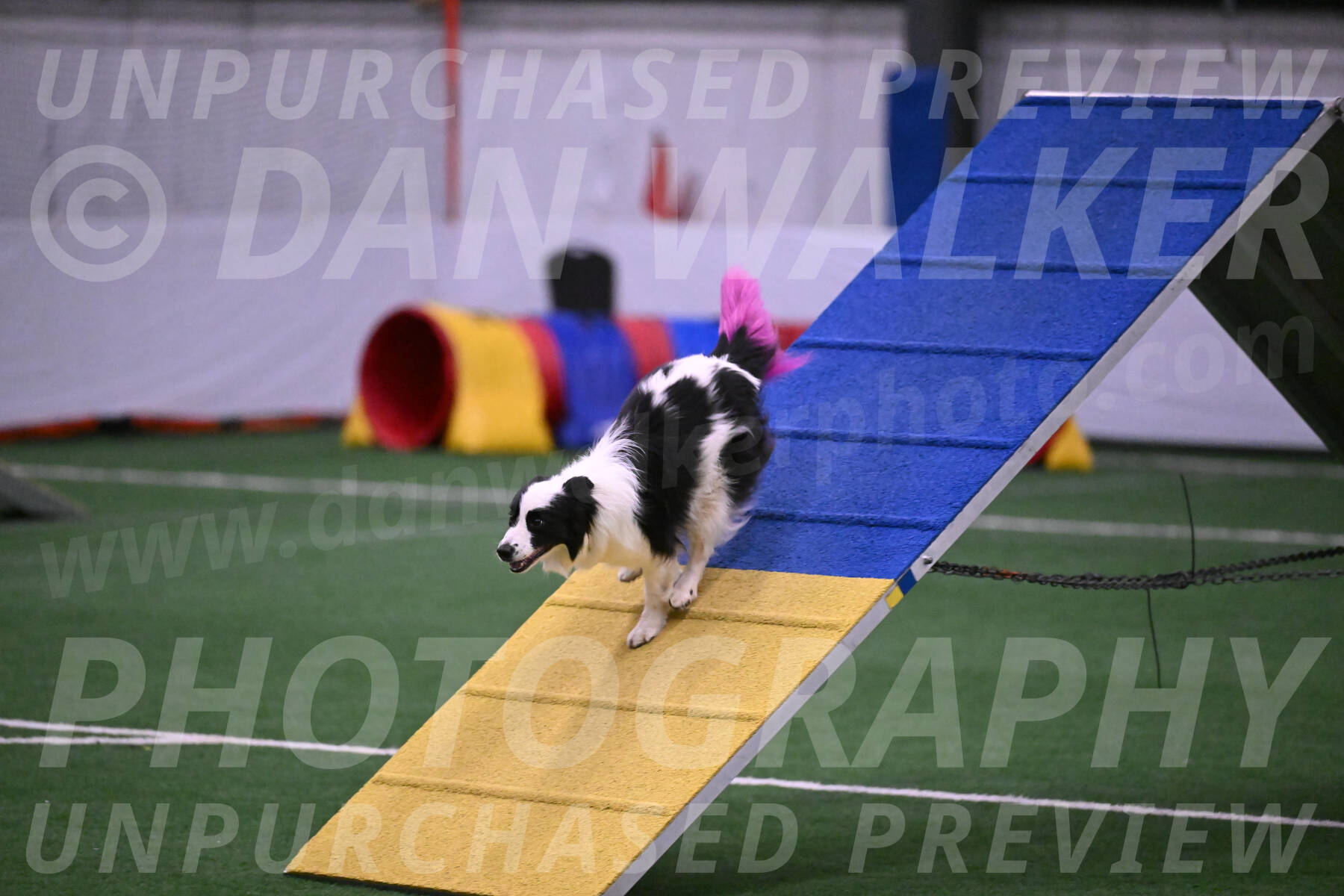 Hoopla-Tricia-Solinger-05842