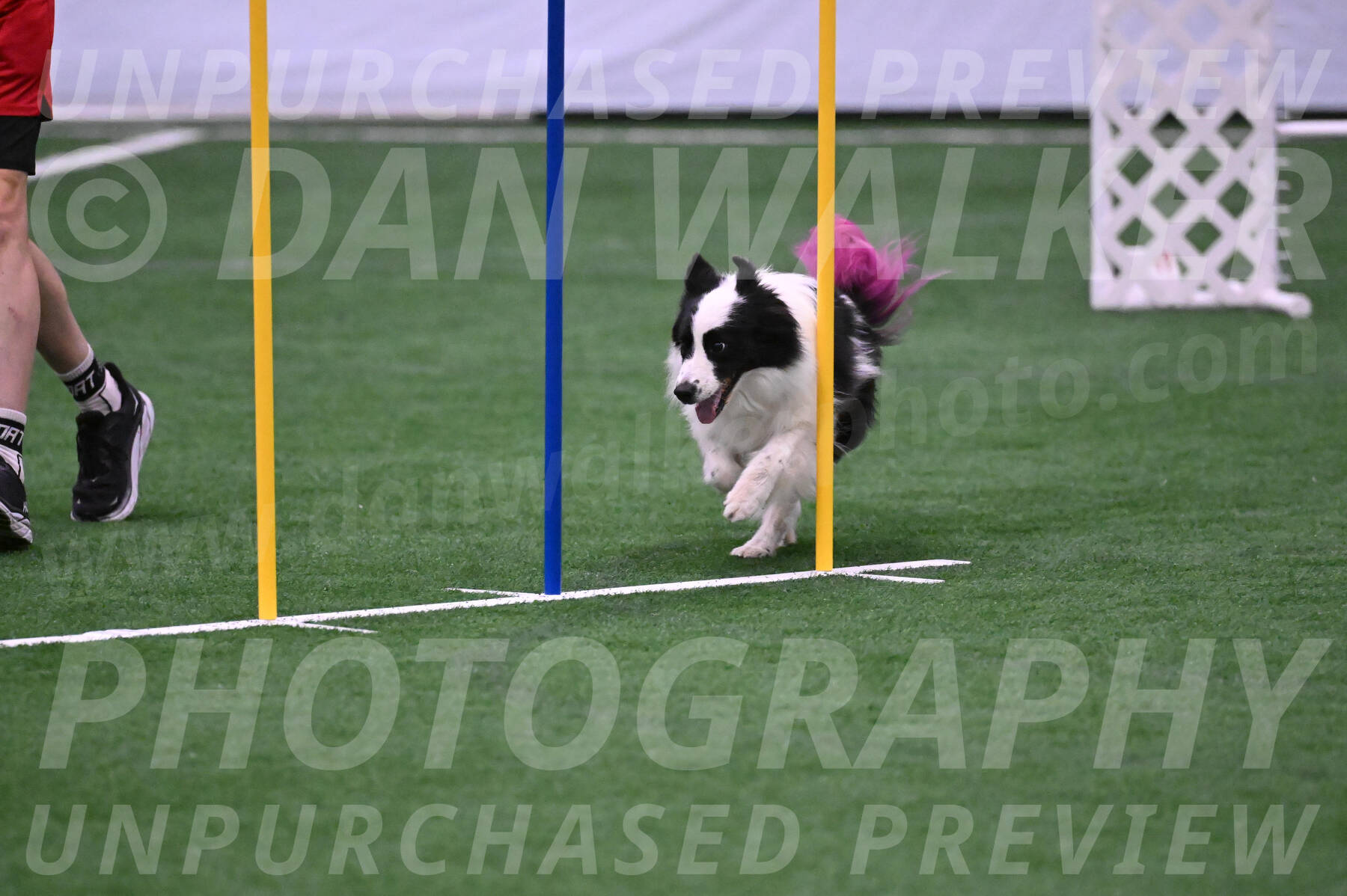 Hoopla-Tricia-Solinger-05855