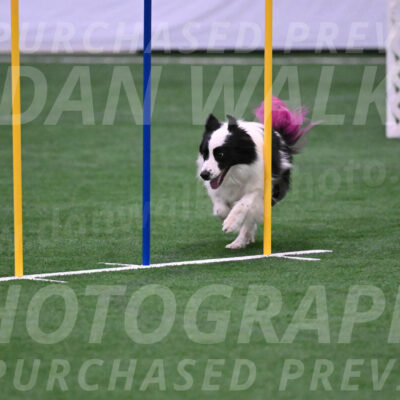 Hoopla-Tricia-Solinger-05855