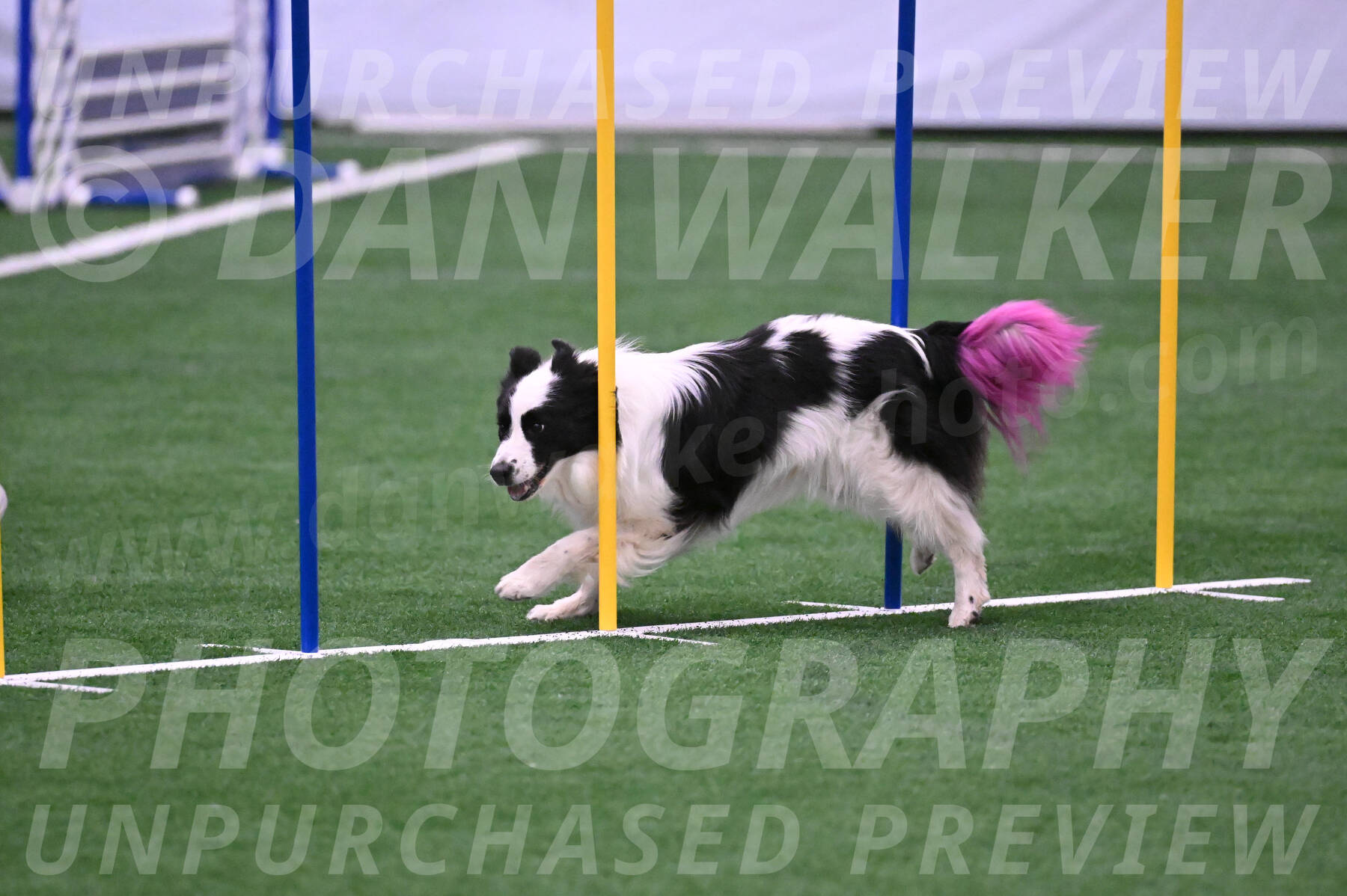 Hoopla-Tricia-Solinger-05861