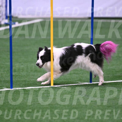 Hoopla-Tricia-Solinger-05861