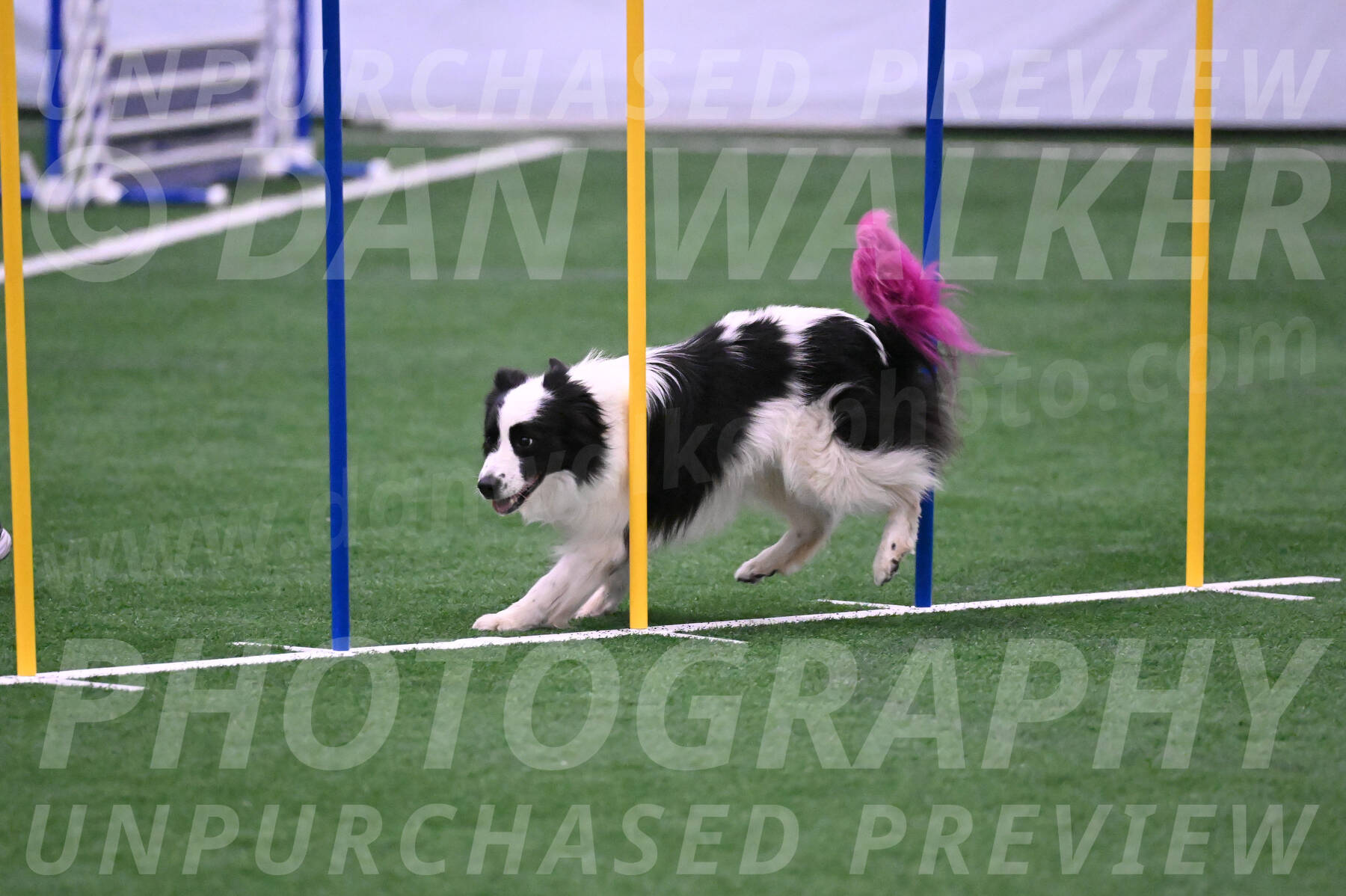 Hoopla-Tricia-Solinger-05862