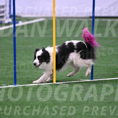 Hoopla-Tricia-Solinger-05862