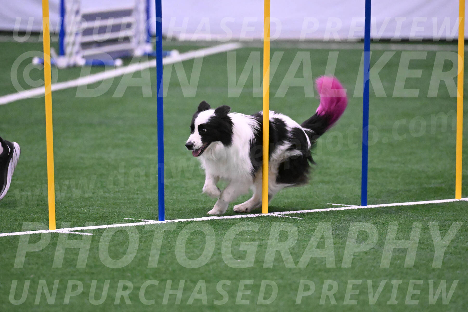 Hoopla-Tricia-Solinger-05863
