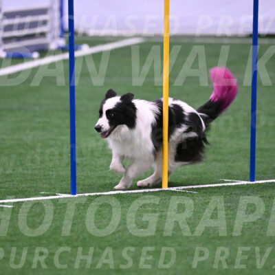 Hoopla-Tricia-Solinger-05863