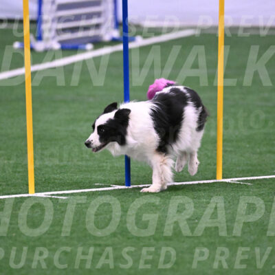 Hoopla-Tricia-Solinger-05865