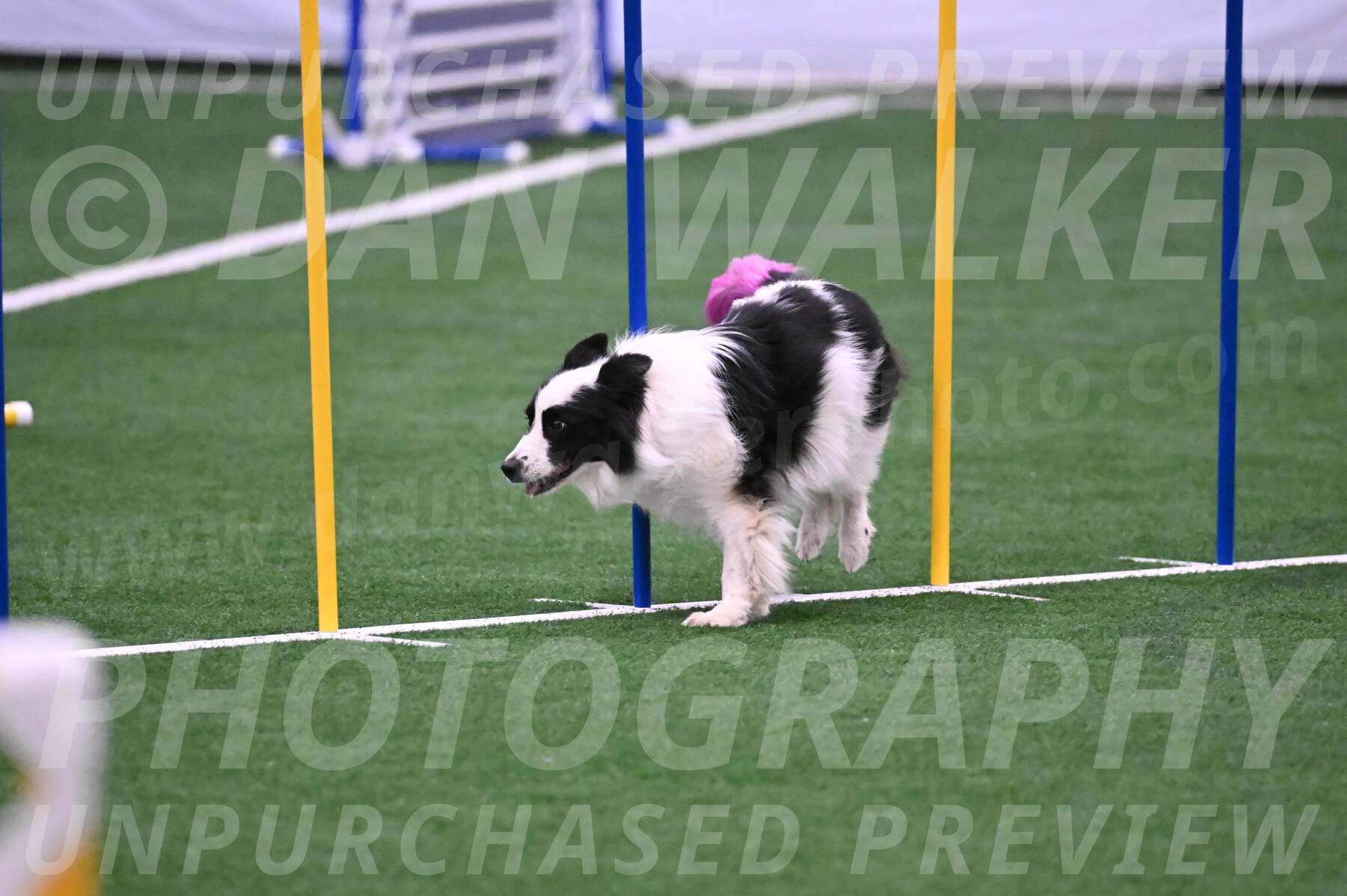 Hoopla-Tricia-Solinger-05865