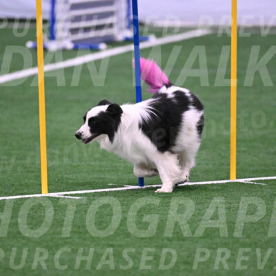 Hoopla-Tricia-Solinger-05866