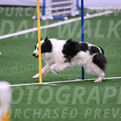 Hoopla-Tricia-Solinger-05867