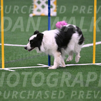 Hoopla-Tricia-Solinger-05874
