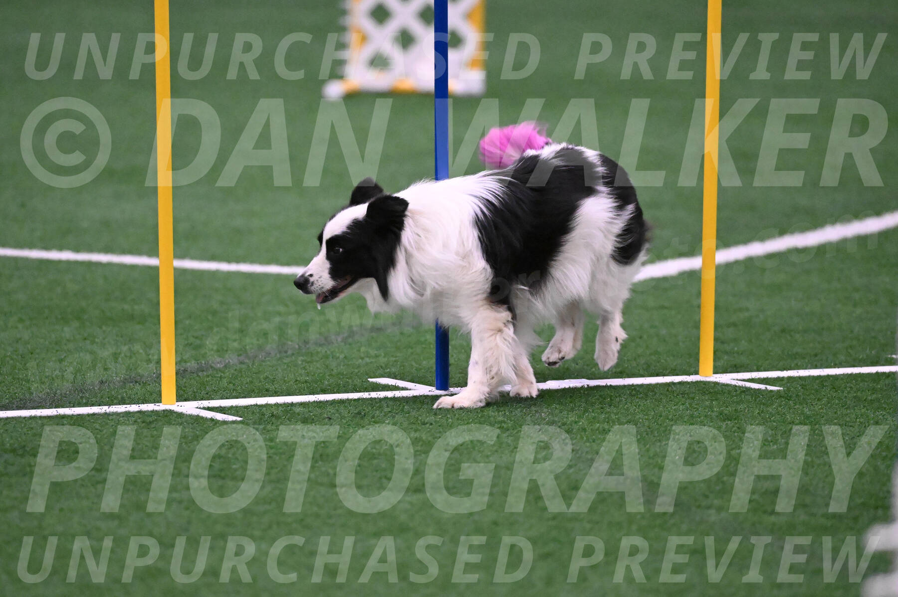 Hoopla-Tricia-Solinger-05874