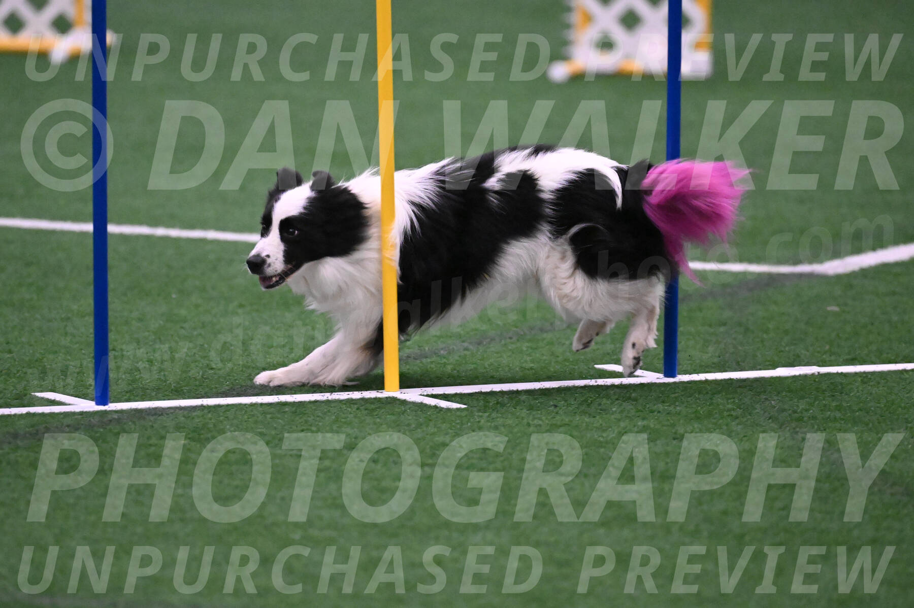 Hoopla-Tricia-Solinger-05877