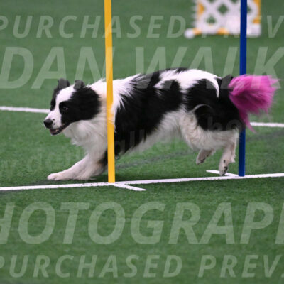 Hoopla-Tricia-Solinger-05877
