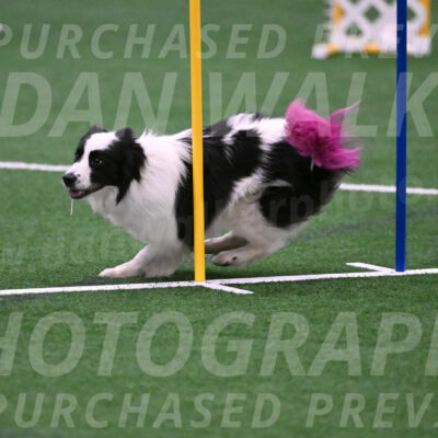 Hoopla-Tricia-Solinger-05878