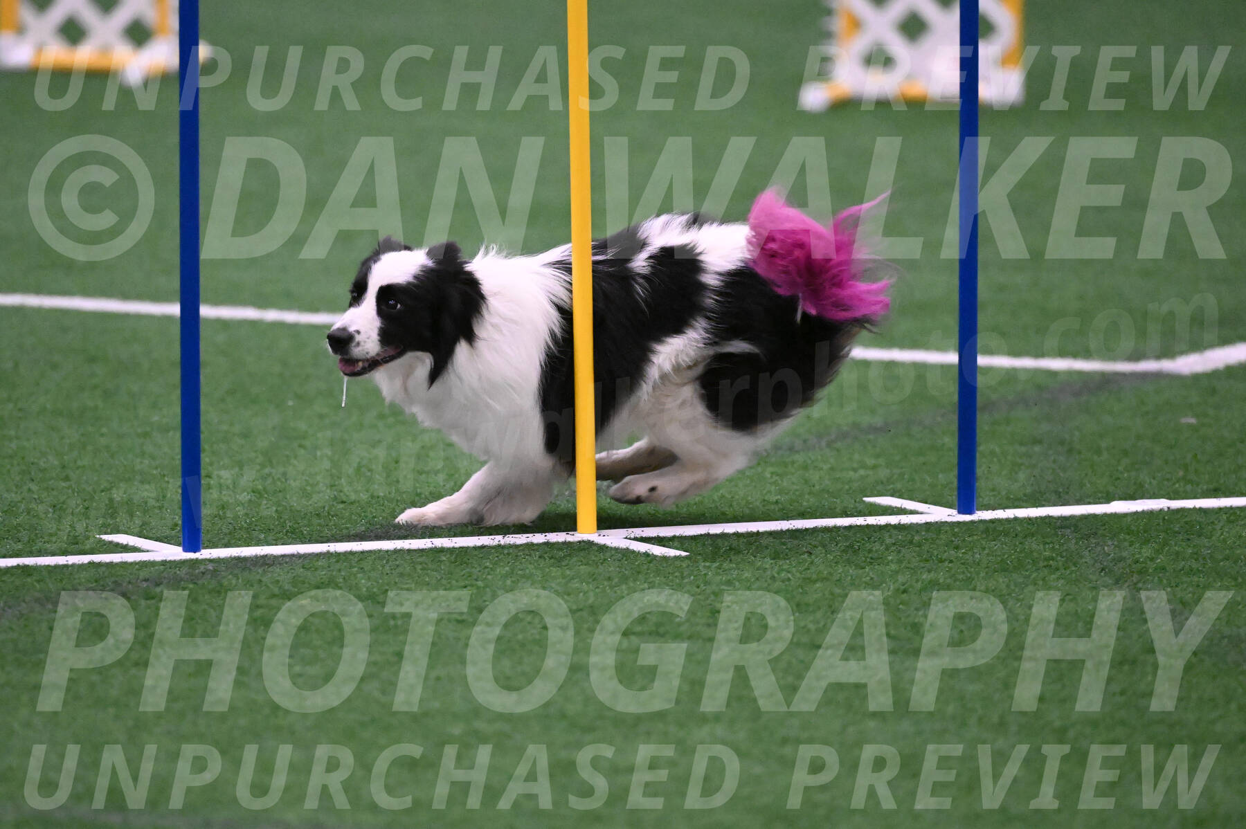 Hoopla-Tricia-Solinger-05878