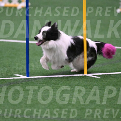 Hoopla-Tricia-Solinger-05879