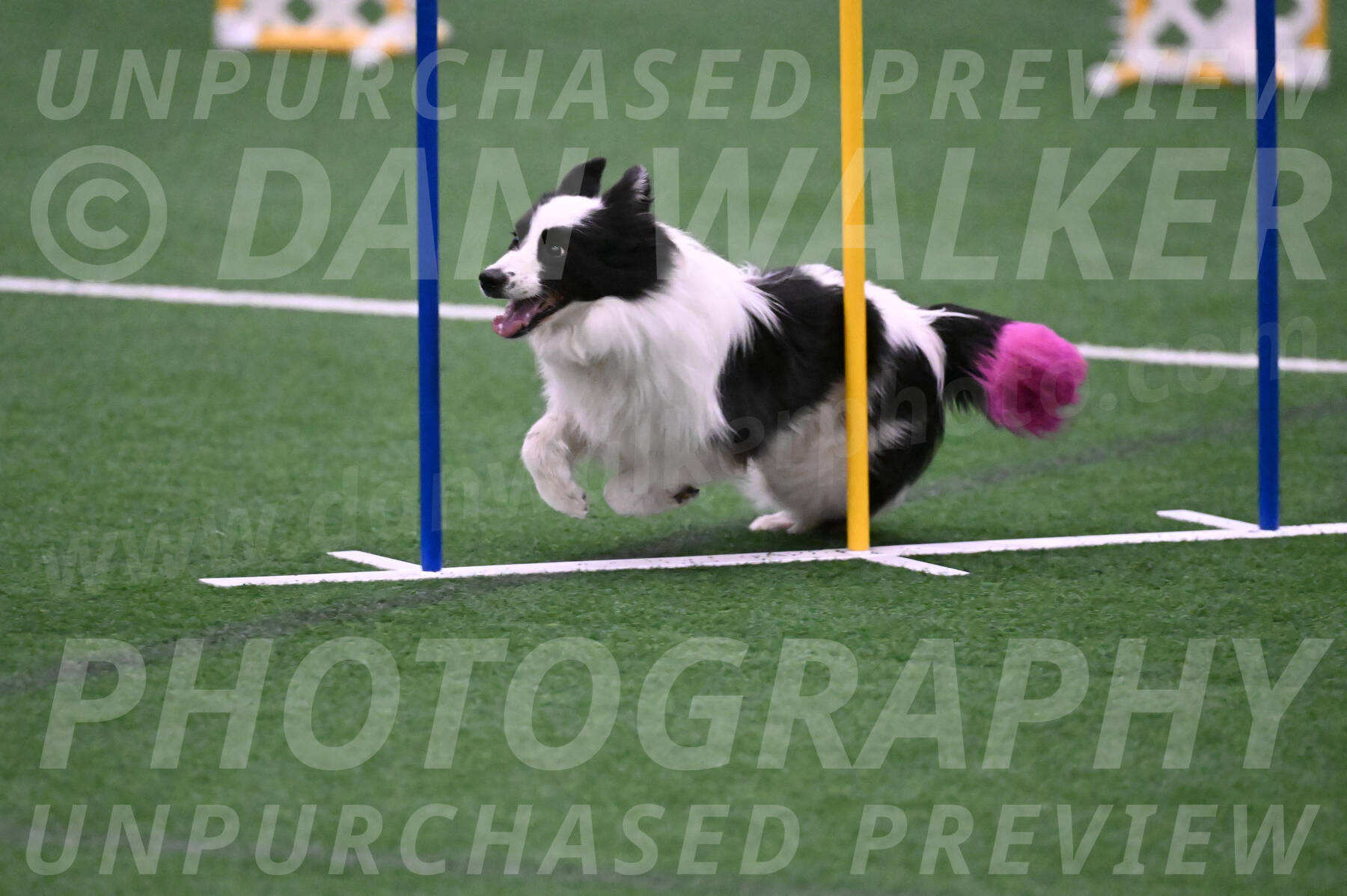 Hoopla-Tricia-Solinger-05879