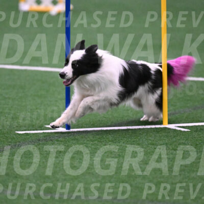 Hoopla-Tricia-Solinger-05880