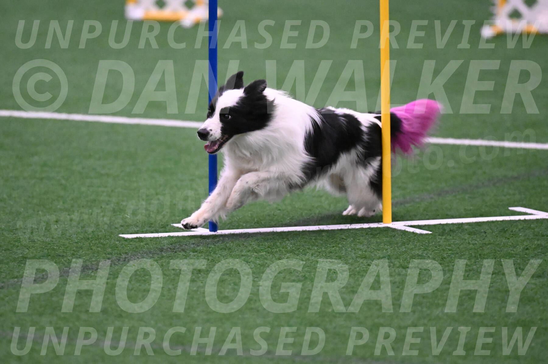 Hoopla-Tricia-Solinger-05880