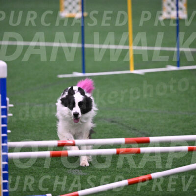 Hoopla-Tricia-Solinger-05883