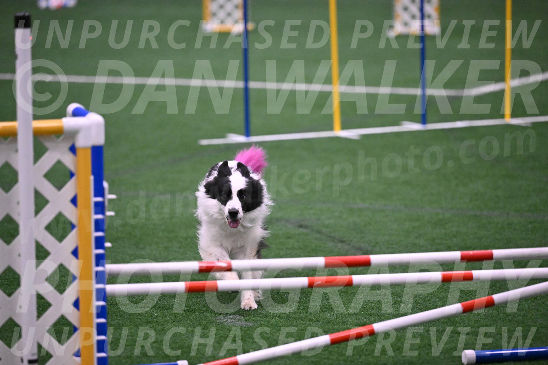 Hoopla-Tricia-Solinger-05883