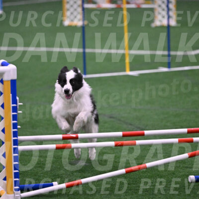 Hoopla-Tricia-Solinger-05886