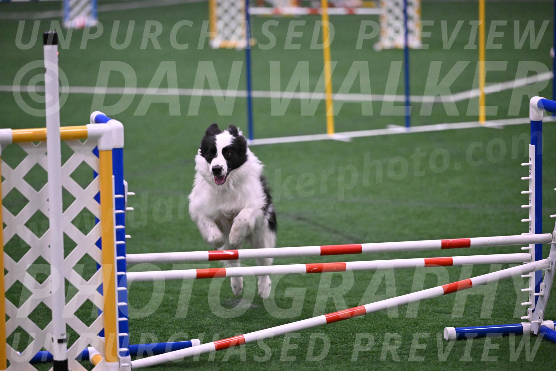 Hoopla-Tricia-Solinger-05886