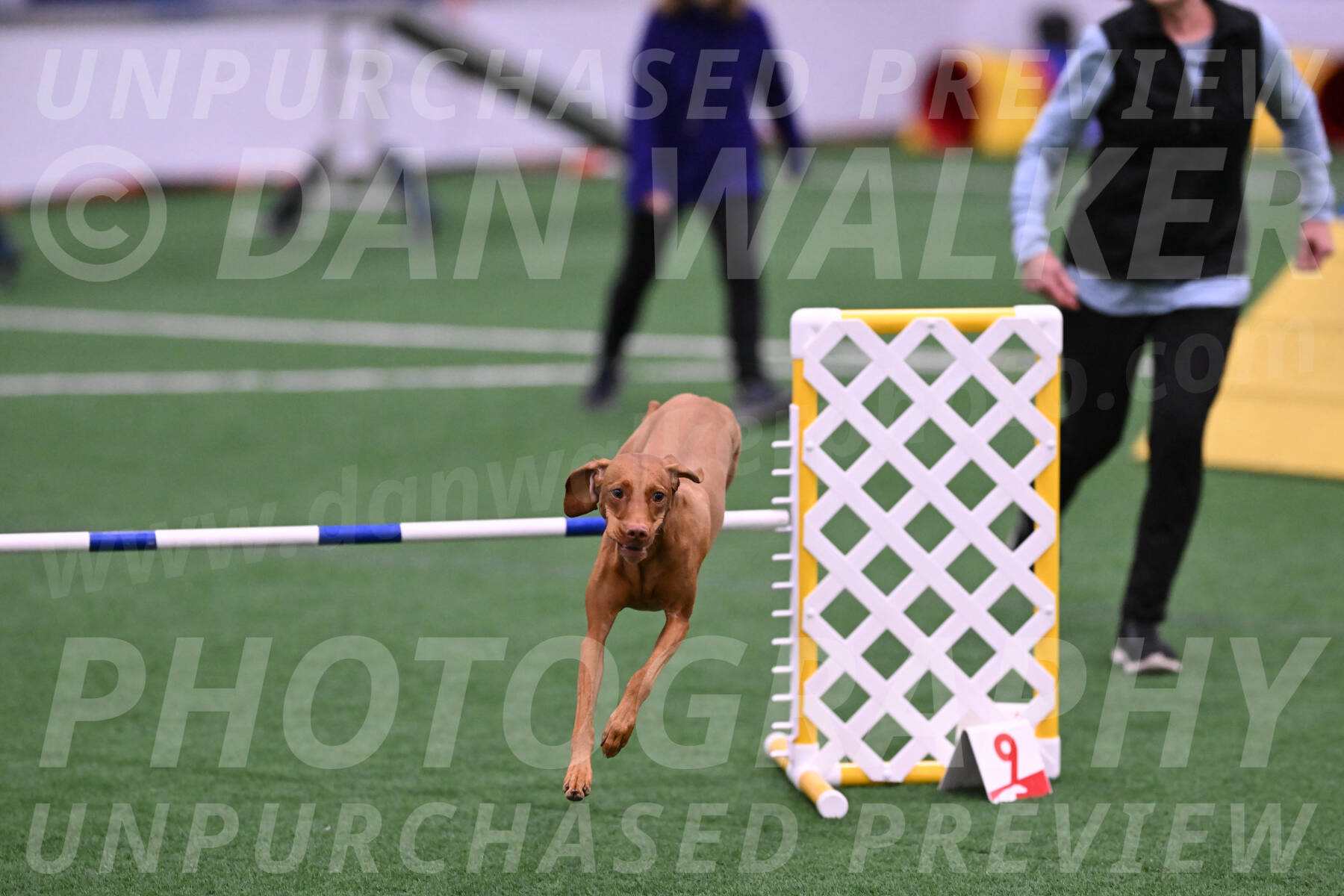 Indie-Jean-Bonness-13489