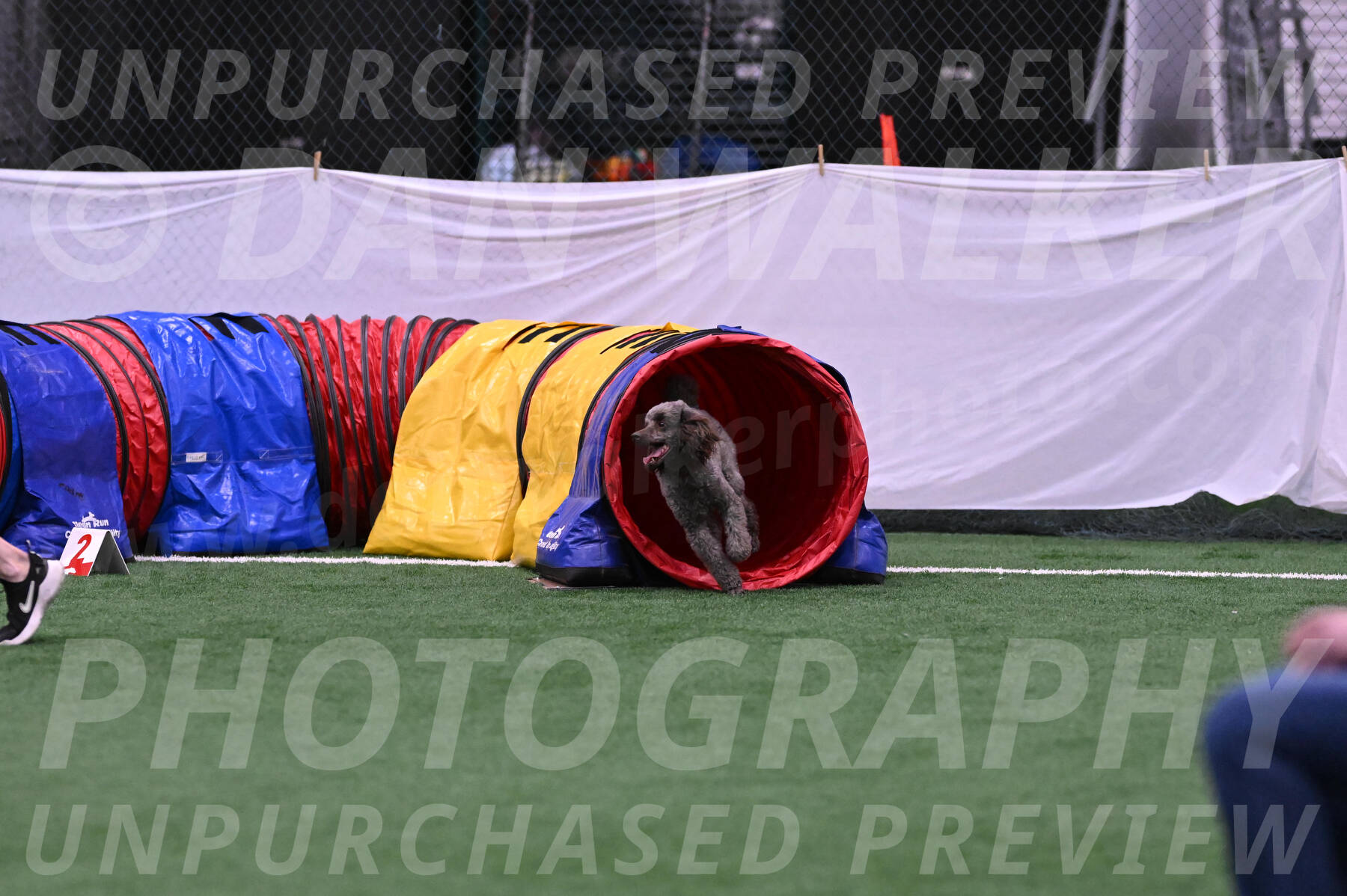 Indy-June-LaBant-06476