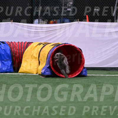 Indy-June-LaBant-06476