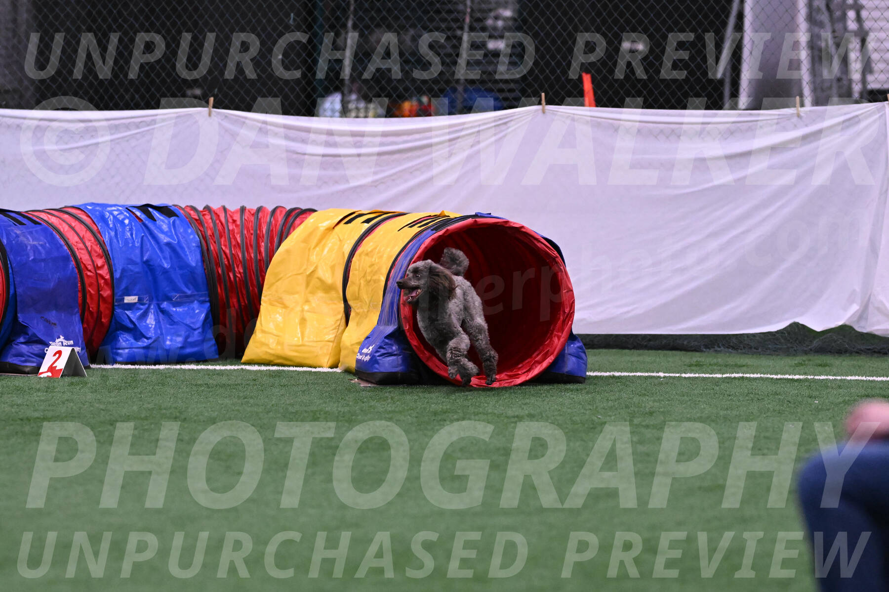 Indy-June-LaBant-06477