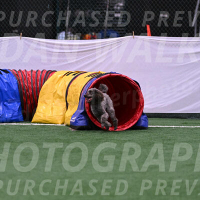 Indy-June-LaBant-06477