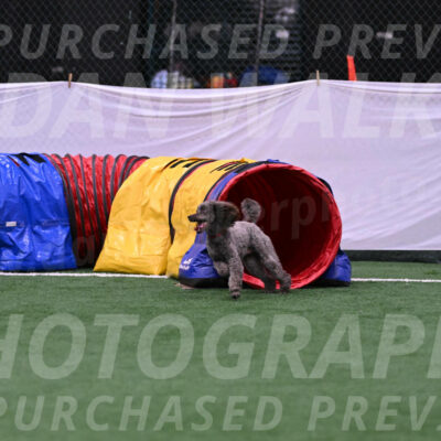Indy-June-LaBant-06478