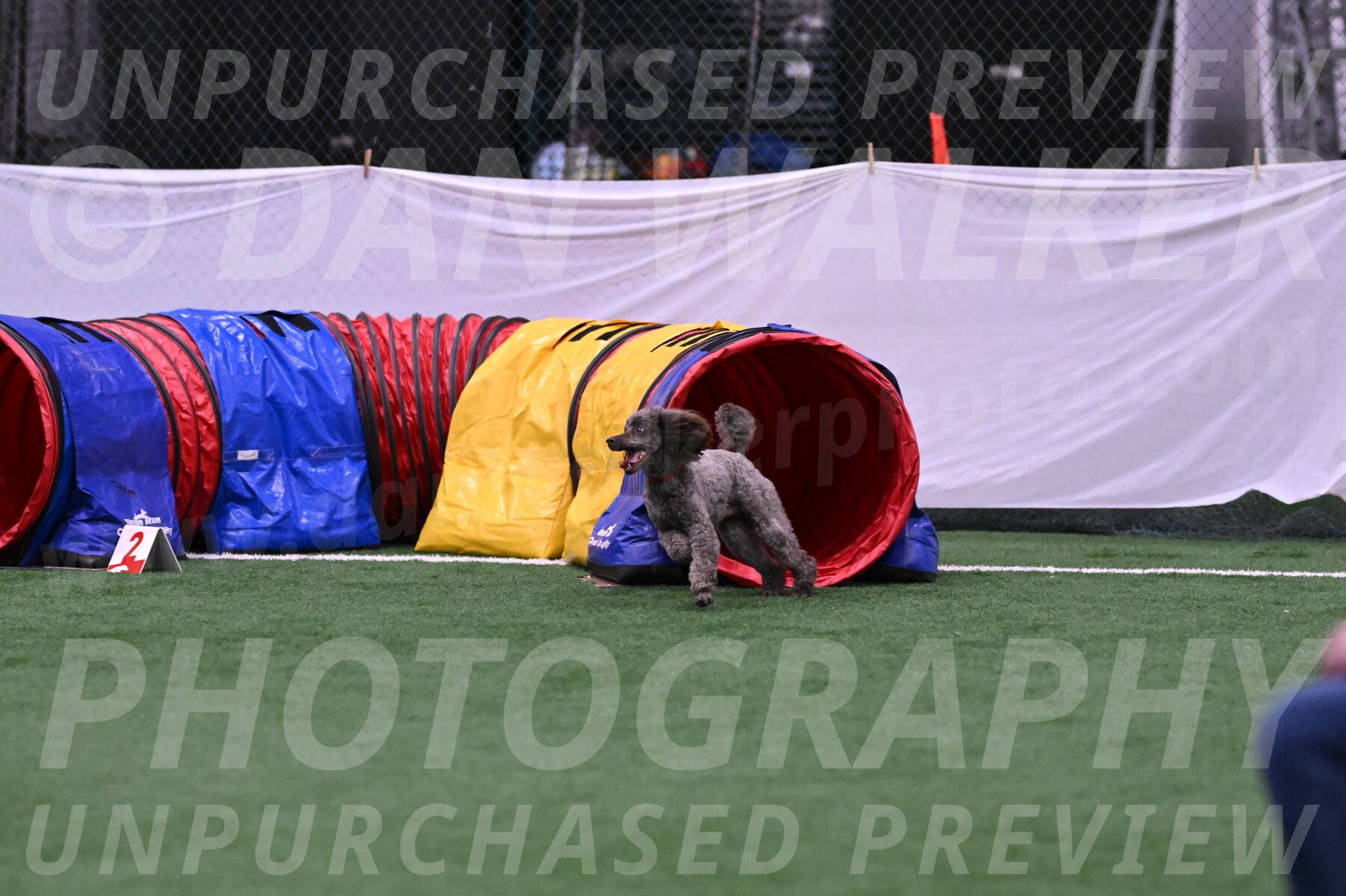 Indy-June-LaBant-06478