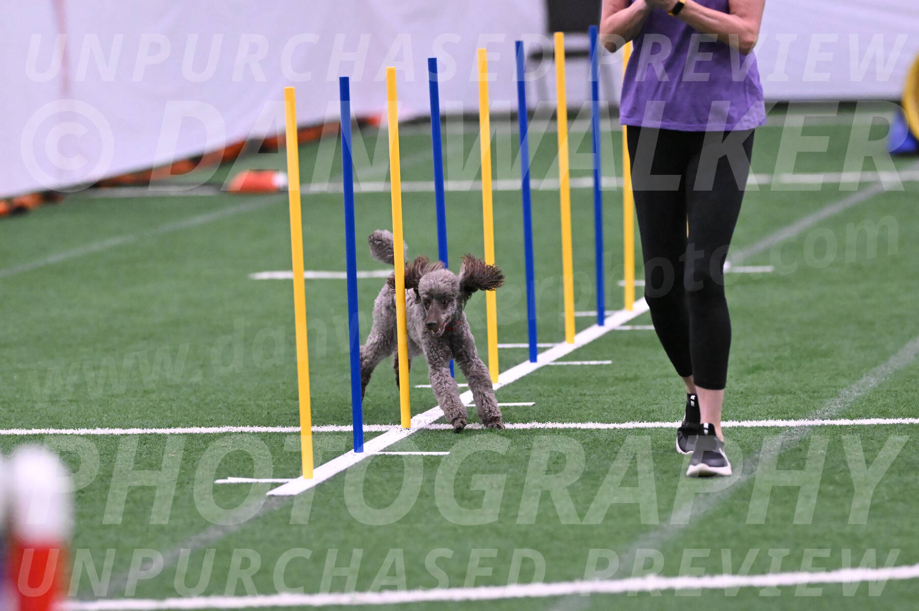 Indy-June-LaBant-06507