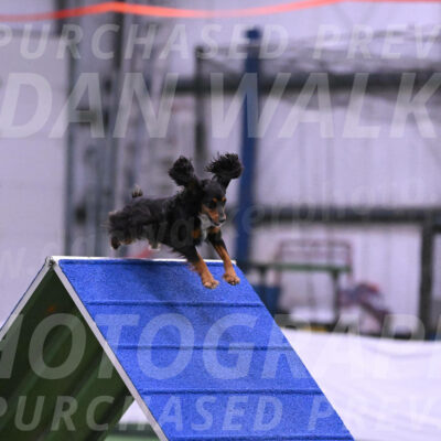 Izzy-Kathy-Barickman-27648