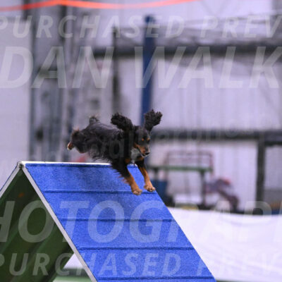 Izzy-Kathy-Barickman-27649
