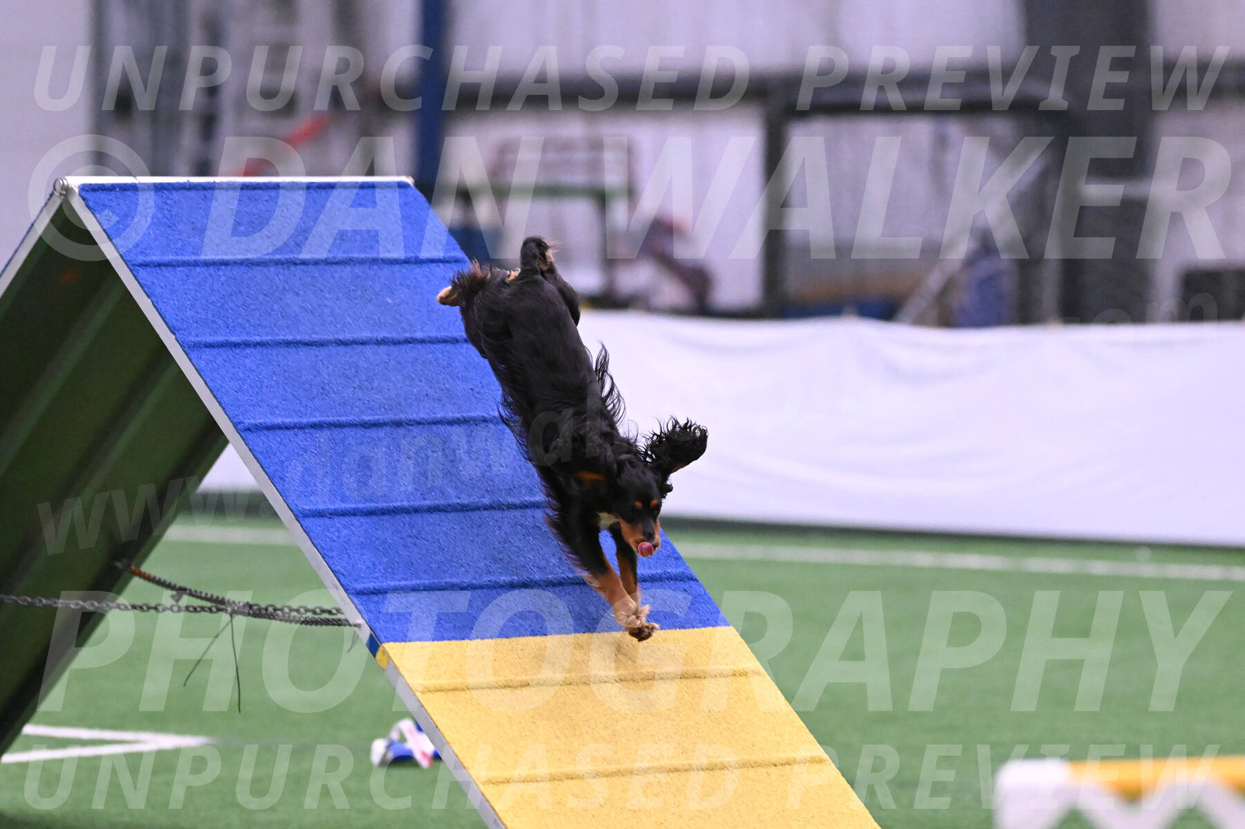 Izzy-Kathy-Barickman-27652