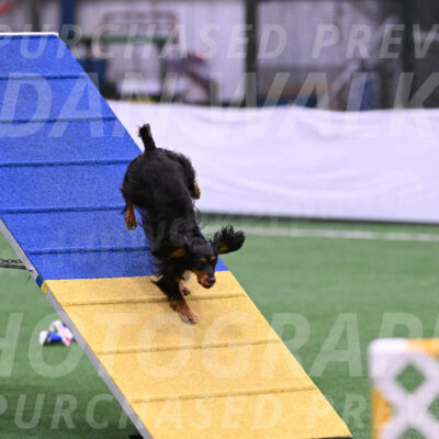 Izzy-Kathy-Barickman-27653