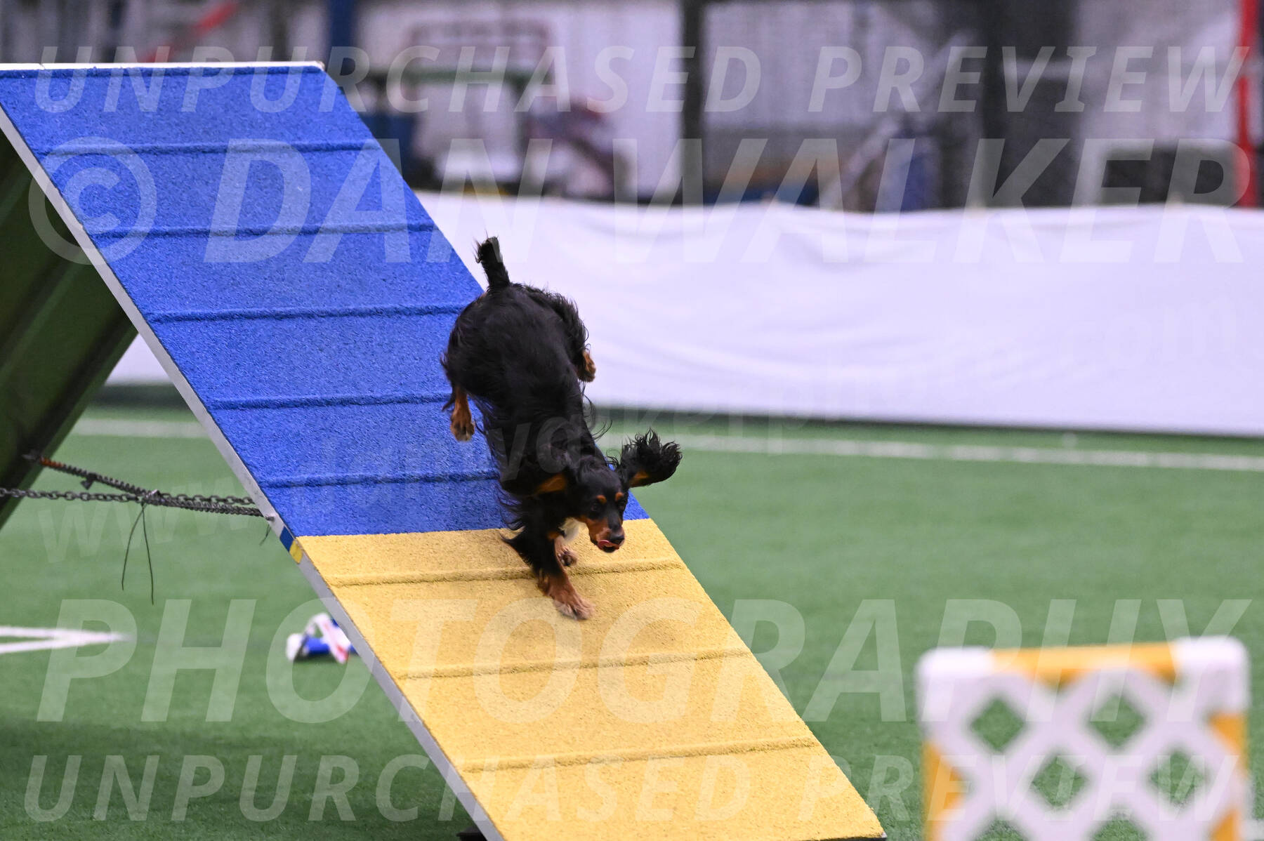 Izzy-Kathy-Barickman-27653