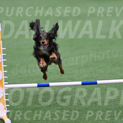 Izzy-Kathy-Barickman-27659