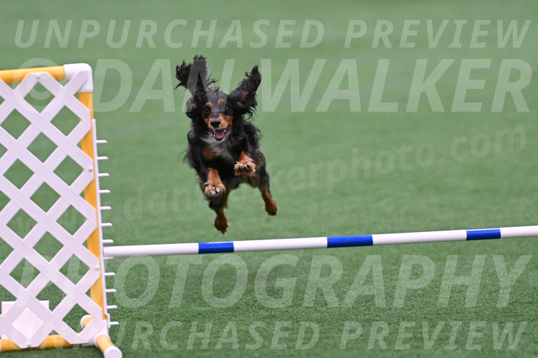 Izzy-Kathy-Barickman-27659