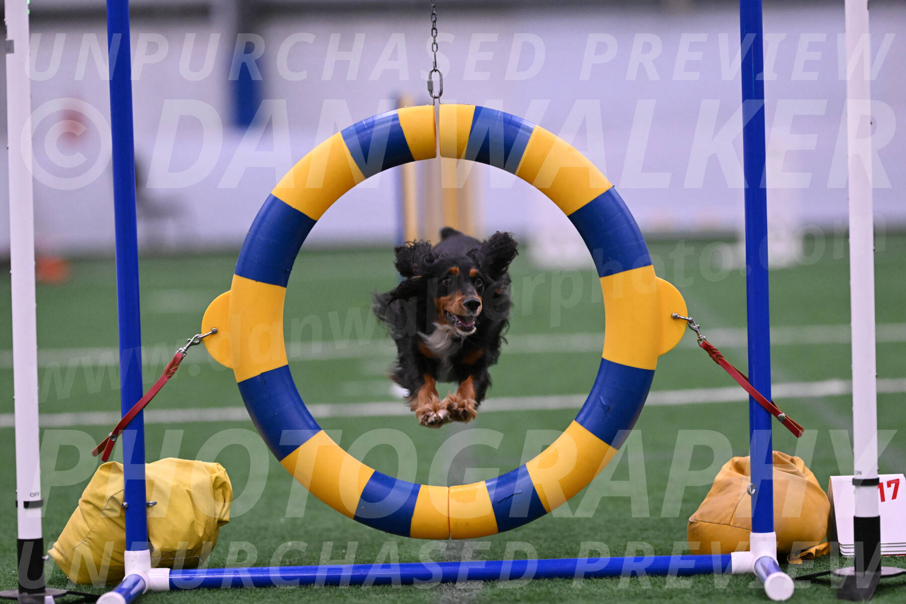 Izzy-Kathy-Barickman-27680
