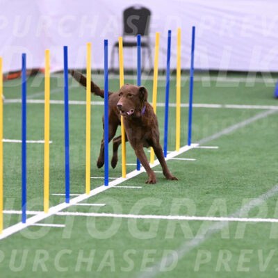 Jameson-Claudia-Jay-Hemphill-17091