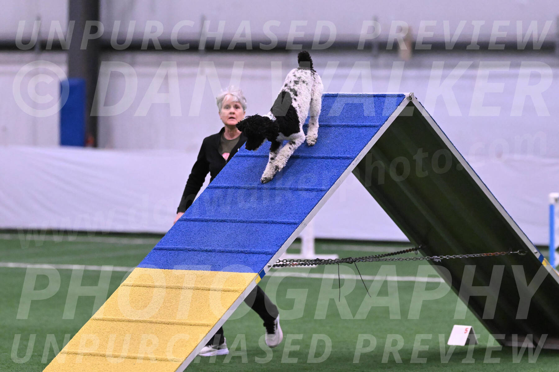 Jessie-Alison-DeBroux-22957
