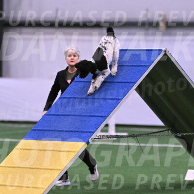 Jessie-Alison-DeBroux-22957